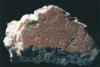 Fragment van de rode muur