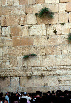 De Klaagmuur in Jeruzalem