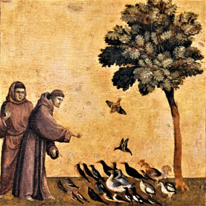 De H. Franciscus preekt tot de vogels (Giotto). De Poverello werd al tijdens zijn leven als een uitzonderlijke heilige beschouwd.