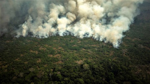 Branden in het regenwoud. Twee pertinente vragen: is deze foto recent? En werd ze in Brazilië genomen?