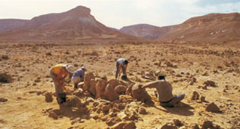 Bijbel, archeologie, geschiedenis